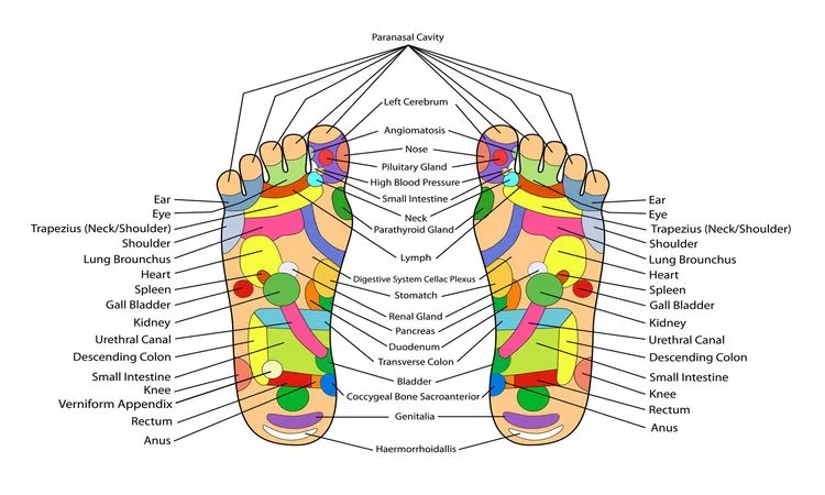 با مطالعه نقشه رفلکسولوژی کف پا می‌توان به طور دقیقی نسبت به تمامی نقاط آگاهی پیدا کنیم و بر آن‌ها مسلط شویم. 